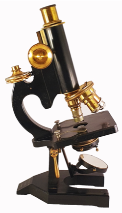A black and gold microscope
Description automatically generated
