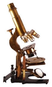 A picture containing table
Description automatically generated