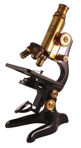 A picture containing pair, black
Description automatically generated