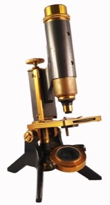 A picture containing table
Description automatically generated