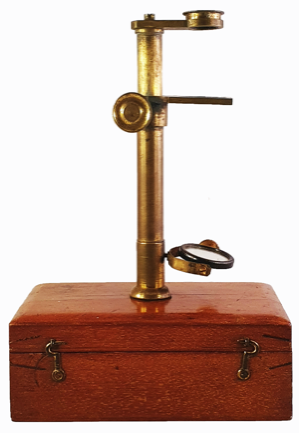 A gavel on top of a red suitcase
Description automatically generated with low confidence