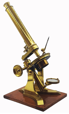 A gold microscope on a white background
Description automatically generated