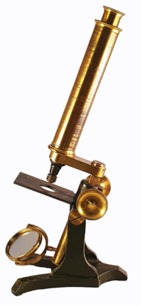 A picture containing indoor, brass
Description automatically generated