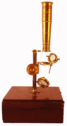 A gold ring on a table
Description automatically generated