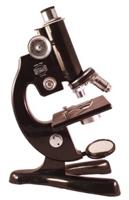 A picture containing black, sitting, table, small
Description automatically generated