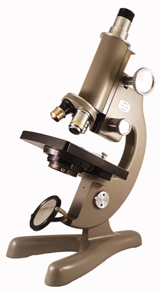 A picture containing indoor, object, table, mirror
Description automatically generated