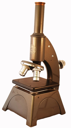 A picture containing indoor, sitting, table, front
Description automatically generated