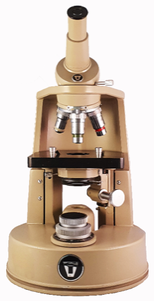 A picture containing indoor, table, sitting, small
Description automatically generated