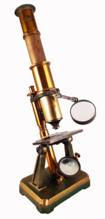 A close - up of a gavel
Description automatically generated with low confidence