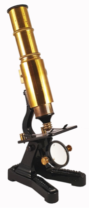 A close-up of a gavel and a gavel
Description automatically generated with medium confidence