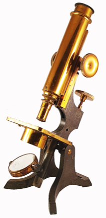 A close-up of an object
Description automatically generated with low confidence