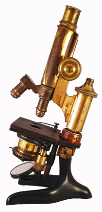 A picture containing indoor, table, small, sitting
Description automatically generated