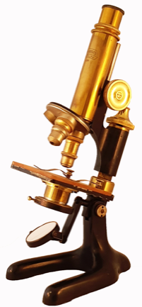 A picture containing indoor, table, banana, wooden
Description automatically generated