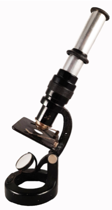 A close - up of a gavel and a gavel
Description automatically generated with low confidence