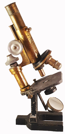 A picture containing indoor
Description automatically generated