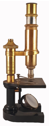 A picture containing indoor, wall
Description automatically generated