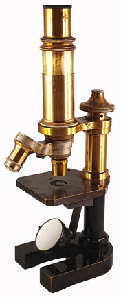 A picture containing indoor
Description automatically generated