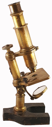 A picture containing indoor
Description automatically generated