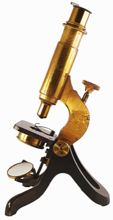 A close-up of a guitar
Description automatically generated with low confidence