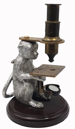 A close-up of a monkey holding a microscope
Description automatically generated