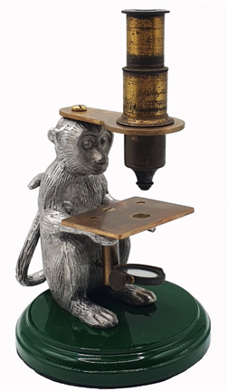 A close-up of a monkey
Description automatically generated